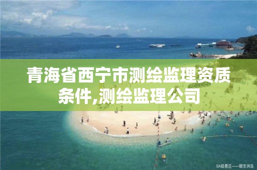 青海省西寧市測繪監理資質條件,測繪監理公司