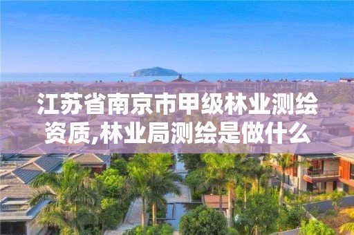 江蘇省南京市甲級林業(yè)測繪資質(zhì),林業(yè)局測繪是做什么的