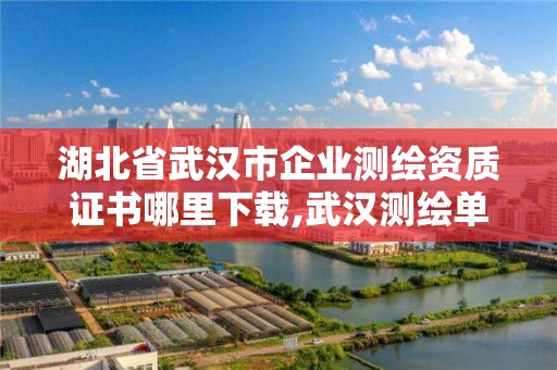 湖北省武漢市企業(yè)測(cè)繪資質(zhì)證書哪里下載,武漢測(cè)繪單位。