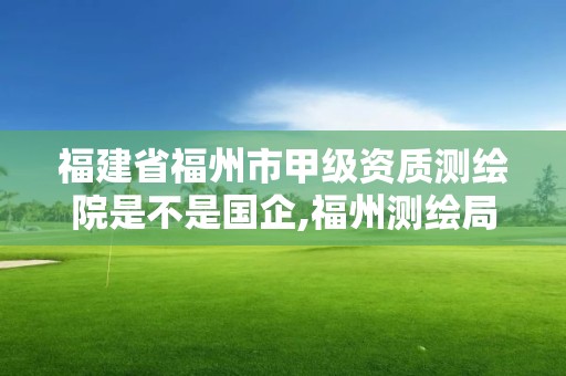 福建省福州市甲級資質測繪院是不是國企,福州測繪局。