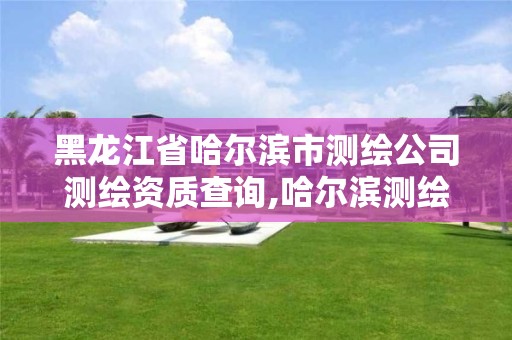 黑龍江省哈爾濱市測繪公司測繪資質查詢,哈爾濱測繪局是干什么的