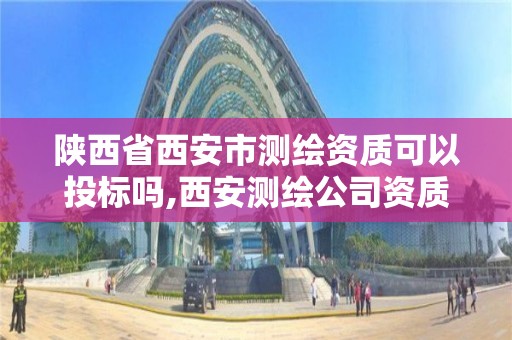 陜西省西安市測繪資質可以投標嗎,西安測繪公司資質