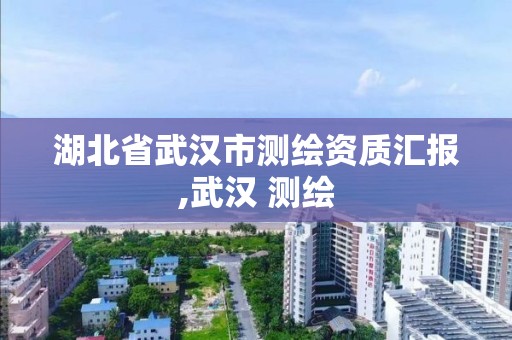 湖北省武漢市測繪資質匯報,武漢 測繪