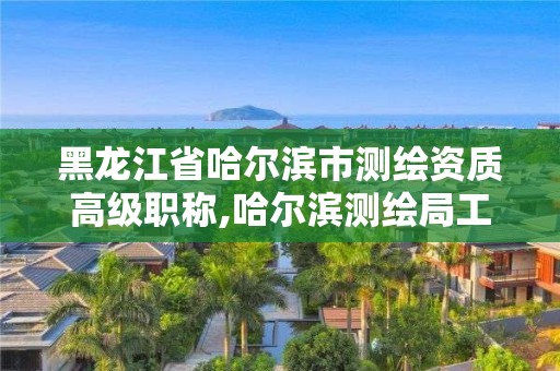 黑龍江省哈爾濱市測繪資質高級職稱,哈爾濱測繪局工資怎么樣