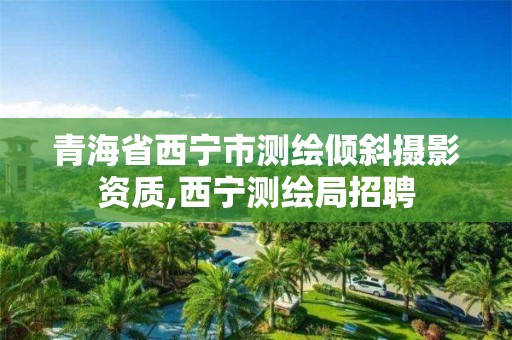 青海省西寧市測繪傾斜攝影資質,西寧測繪局招聘