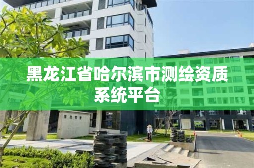 黑龍江省哈爾濱市測繪資質系統平臺