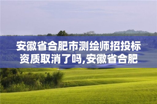 安徽省合肥市測繪師招投標(biāo)資質(zhì)取消了嗎,安徽省合肥市測繪師招投標(biāo)資質(zhì)取消了嗎今年