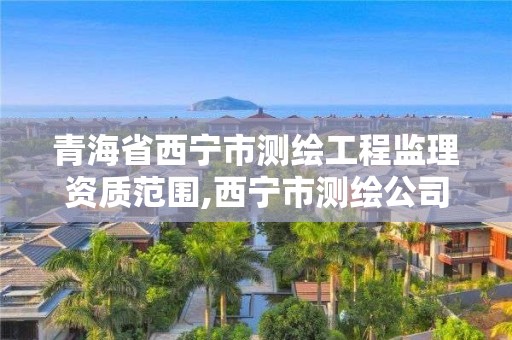 青海省西寧市測繪工程監理資質范圍,西寧市測繪公司