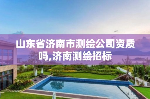 山東省濟南市測繪公司資質嗎,濟南測繪招標