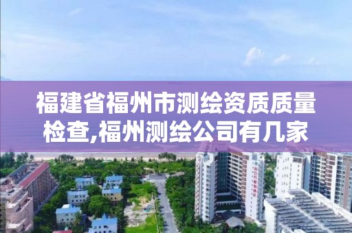 福建省福州市測繪資質質量檢查,福州測繪公司有幾家