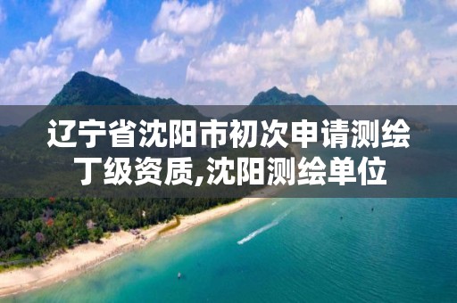 遼寧省沈陽市初次申請測繪丁級資質(zhì),沈陽測繪單位