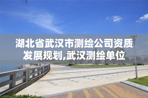 湖北省武漢市測(cè)繪公司資質(zhì)發(fā)展規(guī)劃,武漢測(cè)繪單位