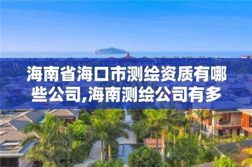 海南省海口市測繪資質有哪些公司,海南測繪公司有多少家