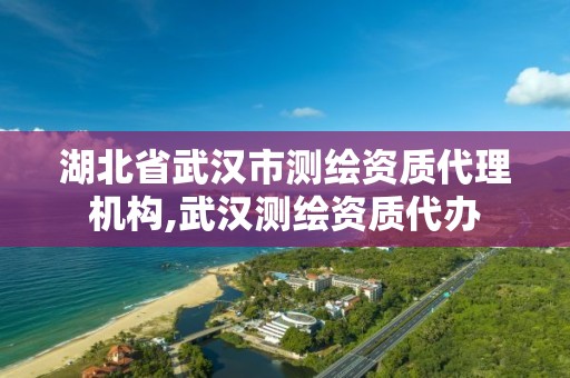 湖北省武漢市測繪資質代理機構,武漢測繪資質代辦