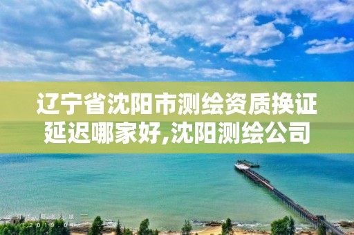 遼寧省沈陽市測繪資質換證延遲哪家好,沈陽測繪公司哪家強哪家好