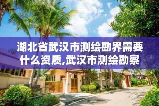 湖北省武漢市測繪勘界需要什么資質,武漢市測繪勘察設計甲級資質公司