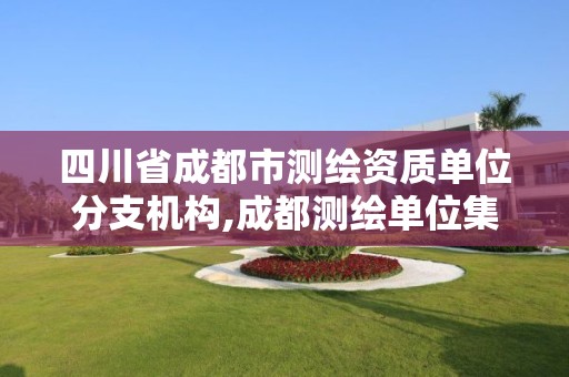 四川省成都市測繪資質單位分支機構,成都測繪單位集中在哪些地方。