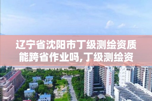 遼寧省沈陽市丁級測繪資質能跨省作業嗎,丁級測繪資質要求。