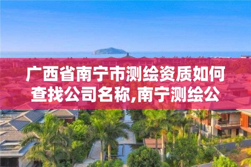 廣西省南寧市測(cè)繪資質(zhì)如何查找公司名稱(chēng),南寧測(cè)繪公司聯(lián)系電話(huà)。