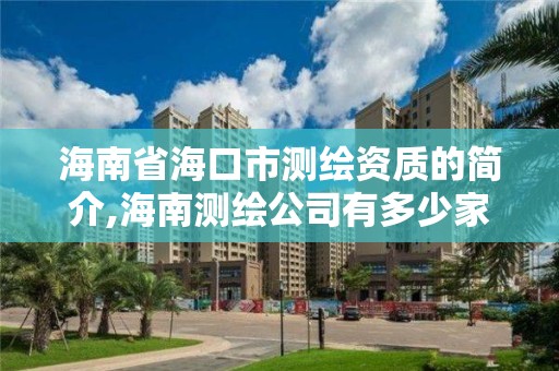 海南省海口市測繪資質的簡介,海南測繪公司有多少家