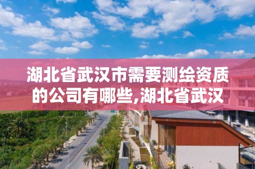 湖北省武漢市需要測繪資質的公司有哪些,湖北省武漢市需要測繪資質的公司有哪些地方。