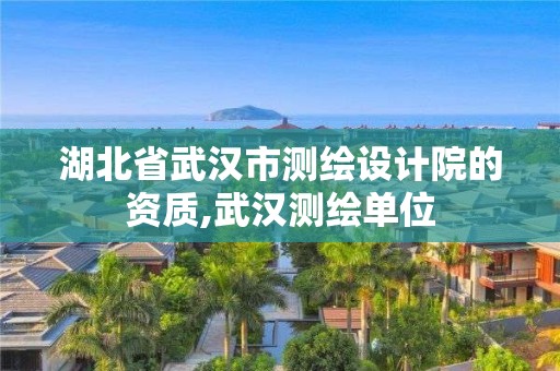 湖北省武漢市測繪設計院的資質,武漢測繪單位