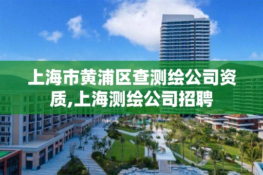 上海市黃浦區查測繪公司資質,上海測繪公司招聘