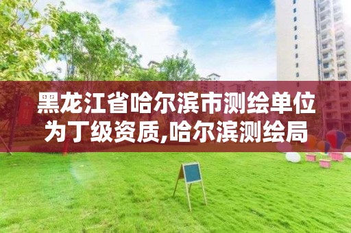 黑龍江省哈爾濱市測繪單位為丁級資質,哈爾濱測繪局怎么樣