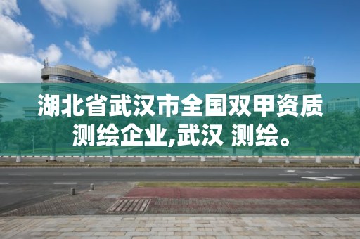 湖北省武漢市全國(guó)雙甲資質(zhì)測(cè)繪企業(yè),武漢 測(cè)繪。