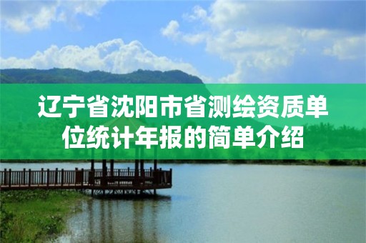 遼寧省沈陽(yáng)市省測(cè)繪資質(zhì)單位統(tǒng)計(jì)年報(bào)的簡(jiǎn)單介紹