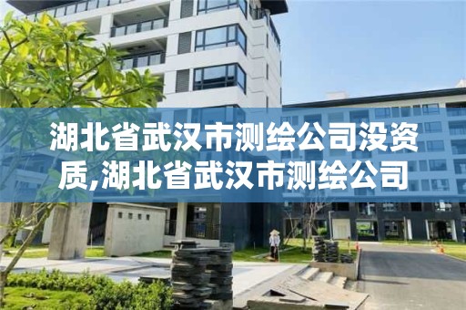 湖北省武漢市測繪公司沒資質(zhì),湖北省武漢市測繪公司沒資質(zhì)的有哪些