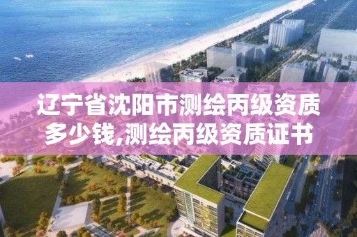 遼寧省沈陽市測繪丙級資質多少錢,測繪丙級資質證書