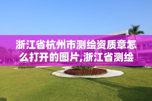 浙江省杭州市測繪資質章怎么打開的圖片,浙江省測繪資質管理實施細則。