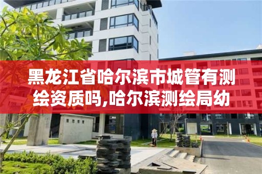 黑龍江省哈爾濱市城管有測繪資質嗎,哈爾濱測繪局幼兒園是民辦還是公辦