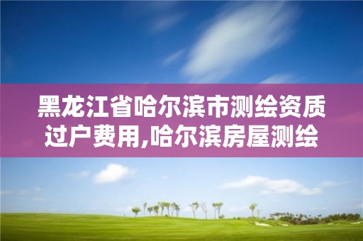 黑龍江省哈爾濱市測繪資質過戶費用,哈爾濱房屋測繪