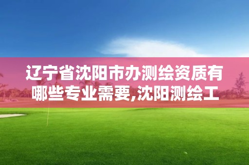 遼寧省沈陽市辦測繪資質有哪些專業需要,沈陽測繪工資。