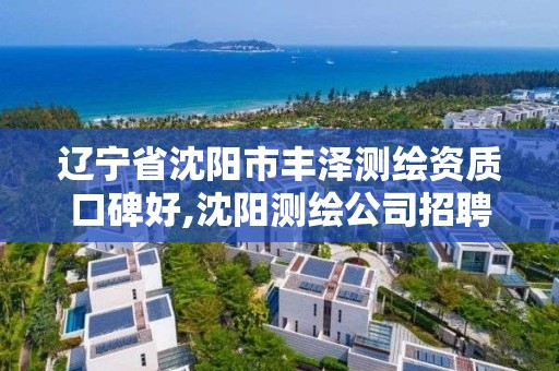 遼寧省沈陽市豐澤測繪資質口碑好,沈陽測繪公司招聘信息最新招聘