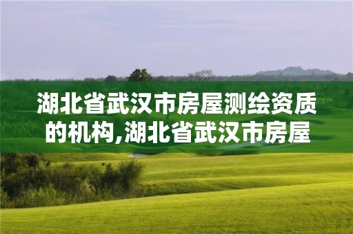 湖北省武漢市房屋測繪資質的機構,湖北省武漢市房屋測繪資質的機構有哪些