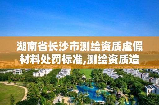 湖南省長沙市測繪資質虛假材料處罰標準,測繪資質造假在哪里舉報