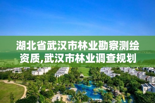 湖北省武漢市林業勘察測繪資質,武漢市林業調查規劃設計院怎么樣