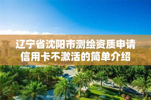 遼寧省沈陽市測繪資質申請信用卡不激活的簡單介紹