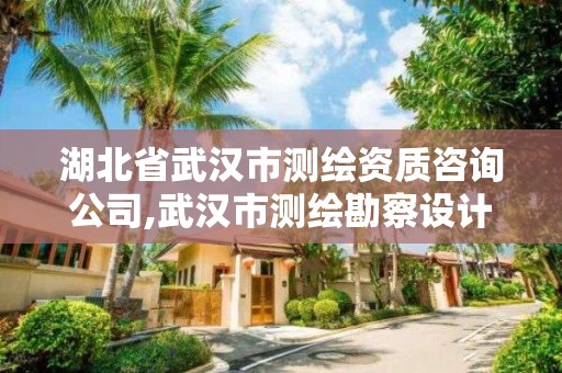 湖北省武漢市測繪資質咨詢公司,武漢市測繪勘察設計甲級資質公司