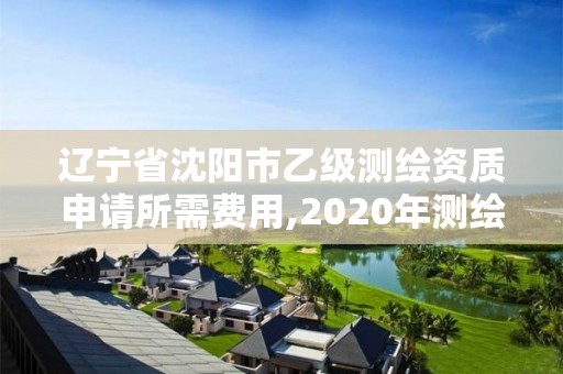 遼寧省沈陽市乙級測繪資質申請所需費用,2020年測繪乙級資質申報條件。