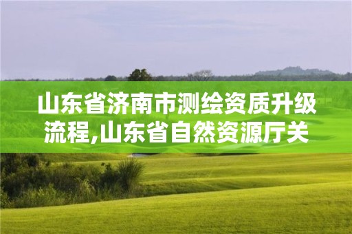 山東省濟南市測繪資質升級流程,山東省自然資源廳關于延長測繪資質證書有效期的公告