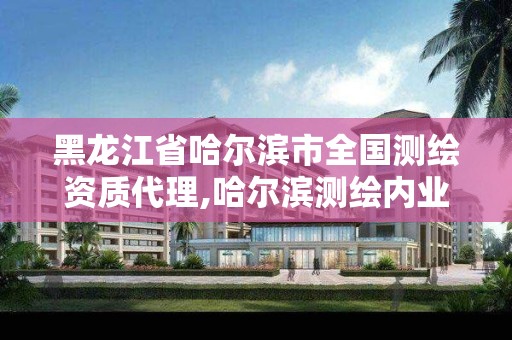 黑龍江省哈爾濱市全國測繪資質代理,哈爾濱測繪內業招聘信息