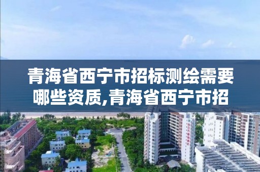 青海省西寧市招標測繪需要哪些資質,青海省西寧市招標測繪需要哪些資質證書