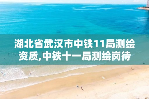 湖北省武漢市中鐵11局測繪資質(zhì),中鐵十一局測繪崗待遇怎么樣?