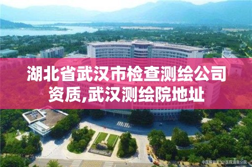 湖北省武漢市檢查測繪公司資質(zhì),武漢測繪院地址