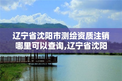 遼寧省沈陽市測繪資質注銷哪里可以查詢,遼寧省沈陽市測繪資質注銷哪里可以查詢到。