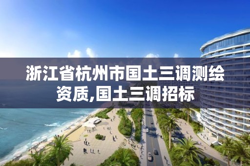 浙江省杭州市國(guó)土三調(diào)測(cè)繪資質(zhì),國(guó)土三調(diào)招標(biāo)